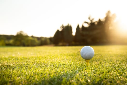Closeup Golf ball on green grass on course