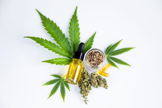 Oil cbd, cannabis and hemp leaves, medical marijuana concept