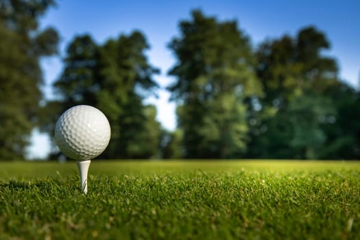 Golf ball on green course in the forest