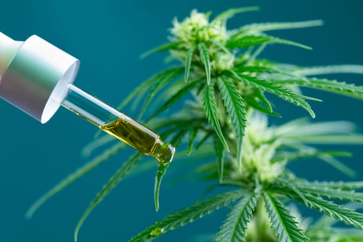 Set of essential oil cbd in a glass bottle, with a pipette, marijuana concept