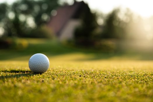 Golf ball on green course in the forest