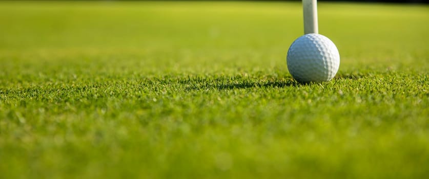 Sport and lifestyle, Golf ball on green grass on course