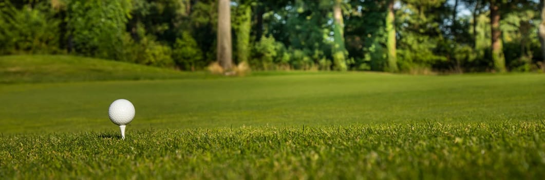 Golf ball on the golf course