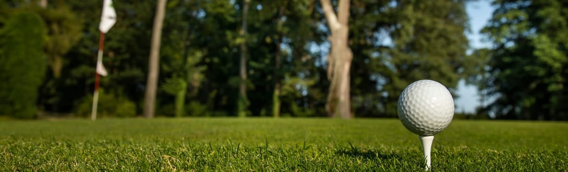 Close up of golf ball on green grass