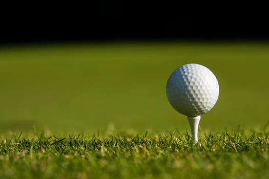 Golf ball on the golf course