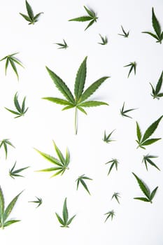 Flat lay composition, cbd, Cannabis leaves with marijuana