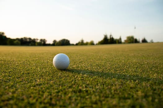 Close up of golf ball on green grass, Sport and lifestyle
