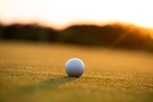 Close up of golf ball on green grass, Sport and lifestyle