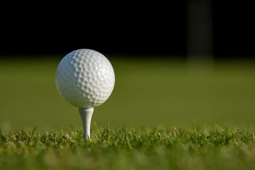 Golf course with ball and grass