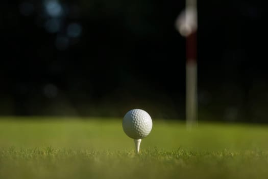 Golf ball on the golf course