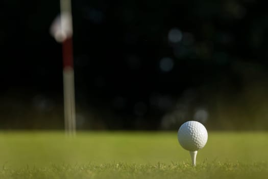 Close up of golf ball on green grass