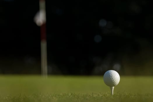 Golf course with ball and grass