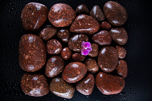Stones with orchid flower. spa concept