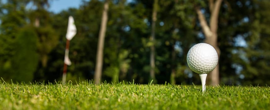 Golf ball on green course in the forest