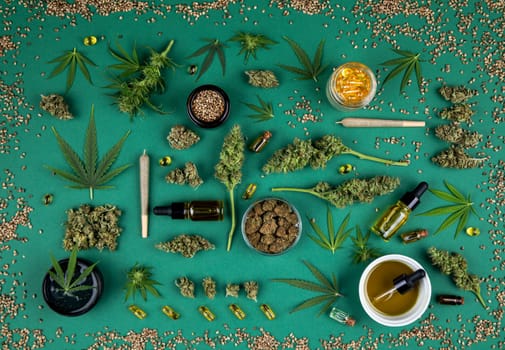 Marijuana and cannabis buds, cbd concept