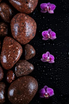 Stones with orchid flower. spa concept