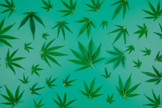 Flat lay composition, cbd, Cannabis leaves with marijuana