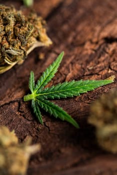 Marijuana cannabis leaf in the light