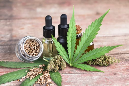Oil cbd, cannabis and hemp leaves, medical marijuana concept