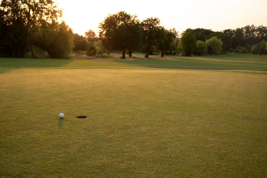 Close up of golf ball on green grass, Sport and lifestyle