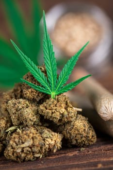 Cbd weed, Cannabis leaves and Top view of marijuana