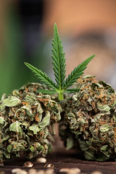 Cbd weed, Cannabis leaves and Top view of marijuana