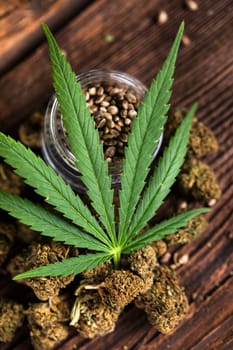 Marijuana cannabis leaf in the light