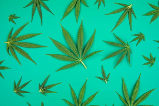 Cannabis leaves with marijuana, cbd, Flat lay composition