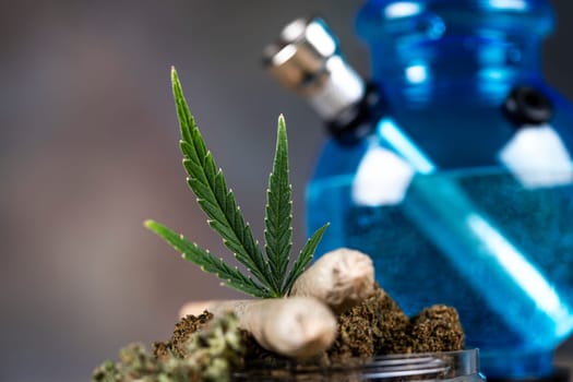 Weed of marijuana leaves and cannabis buds, cbd