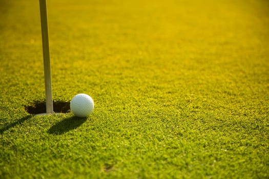 Sport and lifestyle, Golf ball on green grass on course