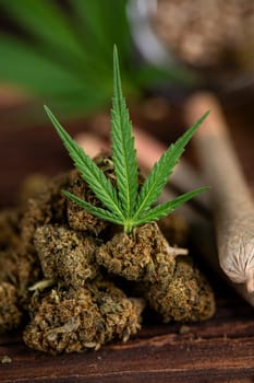 Cannabis and medical marijuana bud , cbd, blunt