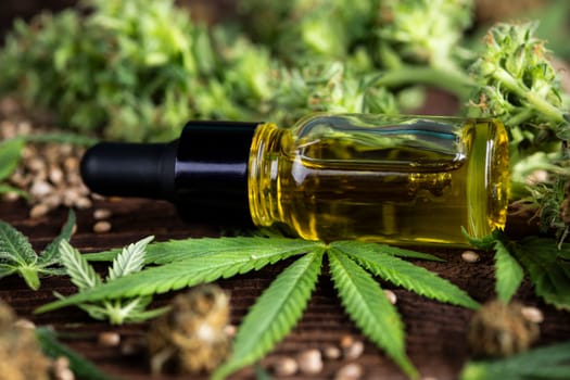 Oil cbd, cannabis and hemp leaves, medical marijuana concept