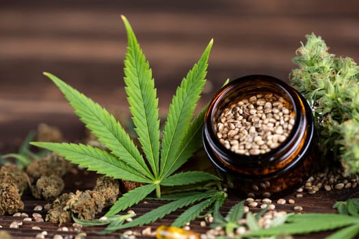 Marijuana plant with medical cannabis, cbd