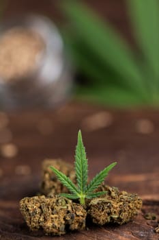 Cbd weed, Cannabis leaves and Top view of marijuana