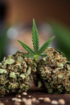 Top view of marijuana leaves and cannabis buds