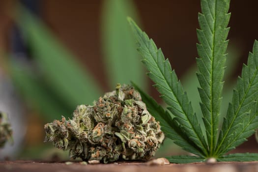 Top view of marijuana leaves and cannabis buds