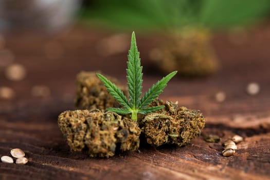 Weed, Top view of marijuana, Cannabis leaves