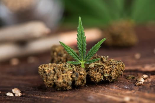 Top view of marijuana leaves and cannabis buds