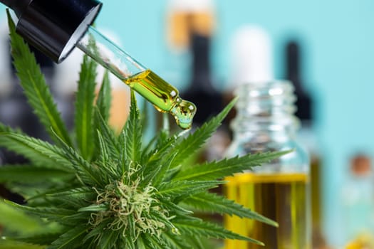 Set of essential oil cbd in a glass bottle, with a pipette, marijuana concept