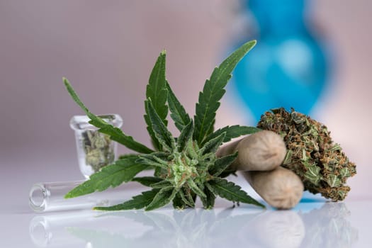 cannabis and medical marijuana bud , cbd, blunt