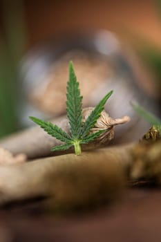 Blunt, Cbd,  Marijuana bud with cannabis