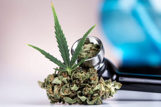 Marijuana and cannabis buds, cbd concept