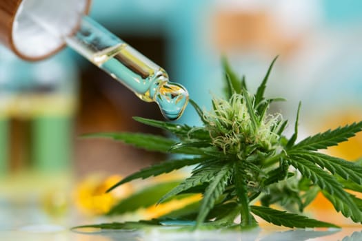 Oil cbd in a glass bottle, with a pipette, Medical marijuana concept