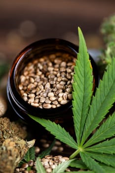 Marijuana plant with medical cannabis, cbd