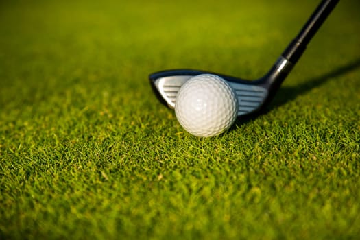 Sport , golf player playing in a golf club