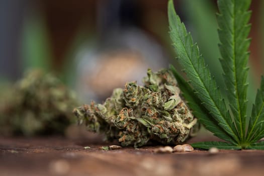 Top view of marijuana leaves and cannabis buds