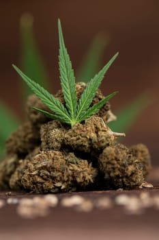 Cbd weed, Cannabis leaves and Top view of marijuana