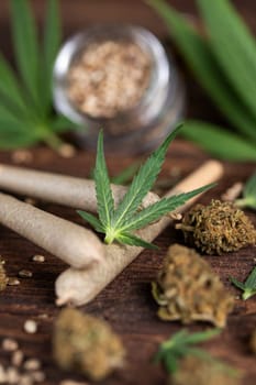 Blunt, Cbd,  Marijuana bud with cannabis