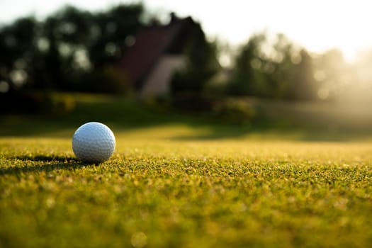 Close up of golf ball on green grass, Sport and lifestyle