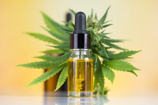 Medical marijuana, cannabis oil, hemp cbd